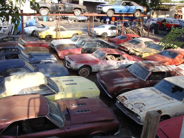 Not one, not two, but 75 muscle cars!