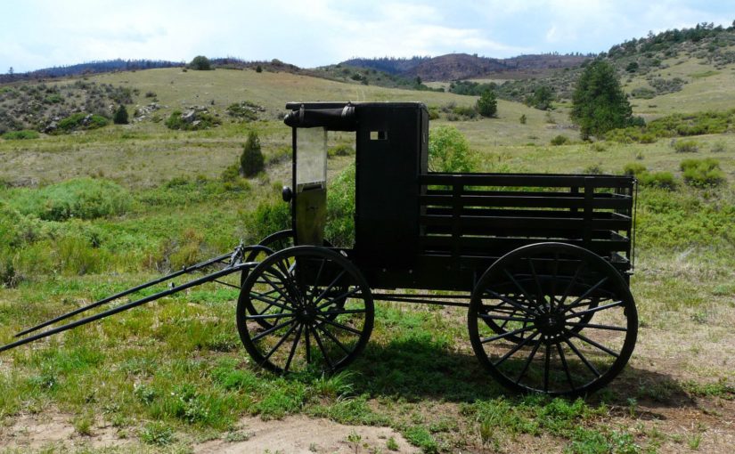 Amish Wagon: You’ve always wanted one. You know it.