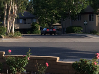 Sighting:The Neighborhood DeLorean